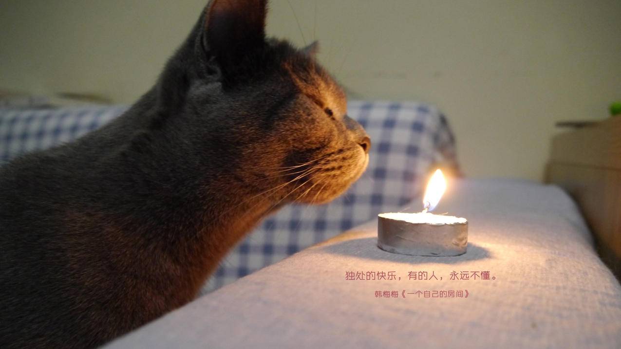 qq群僵尸粉购买|卡盟刷永久会员|抖音业务下单24小时平台